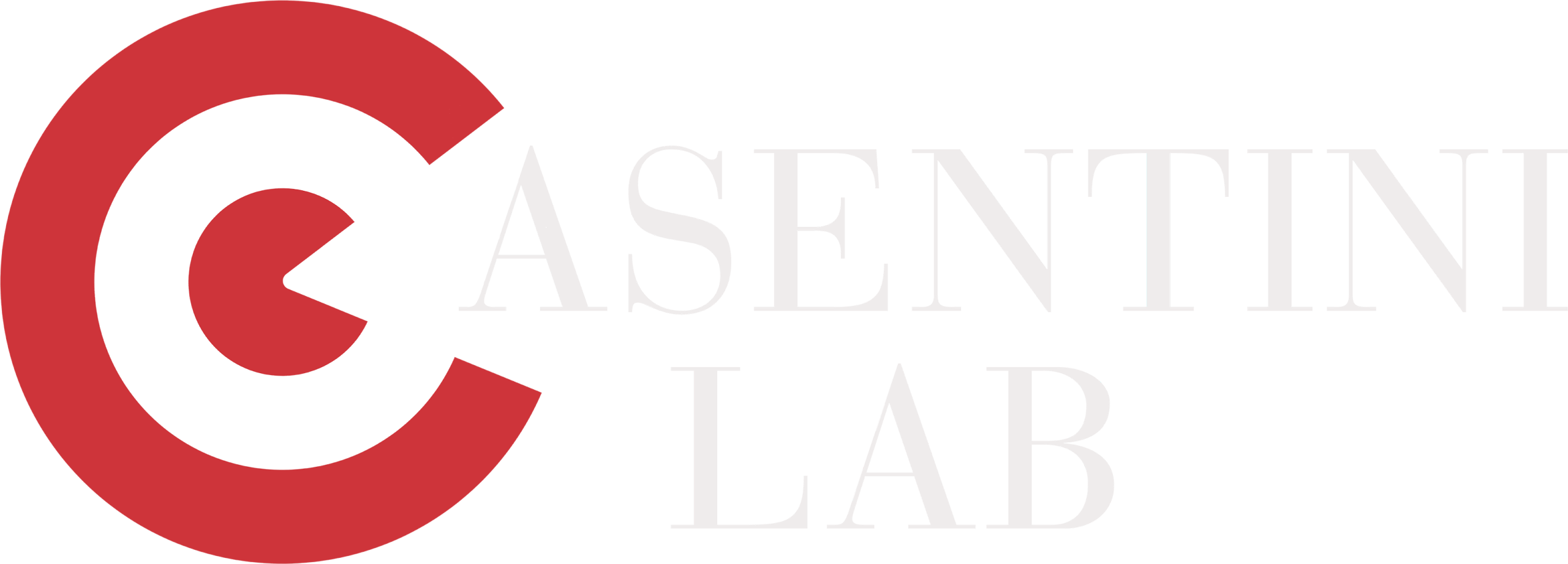 Casentini Lab